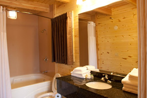 Mackinac Loft Cabins Bath